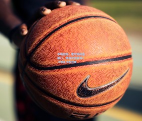 半场战报，霍尔姆闪击破门，博洛尼亚客场1-0领先卡利亚里