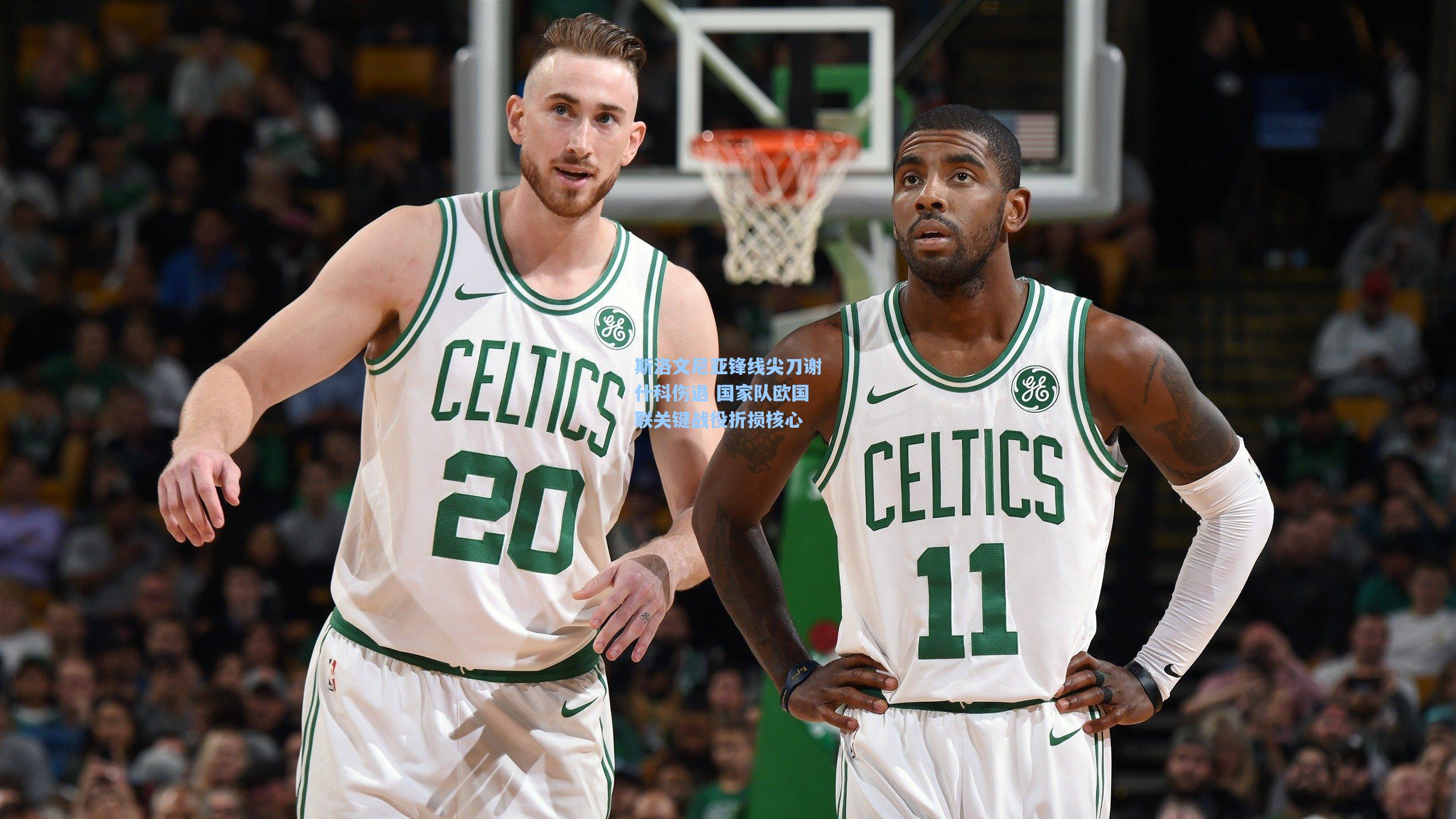 斯洛文尼亚锋线尖刀谢什科伤退 国家队欧国联关键战役折损核心